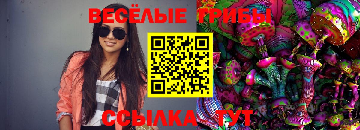 Псилоцибиновые грибы мицелий Дальнереченск